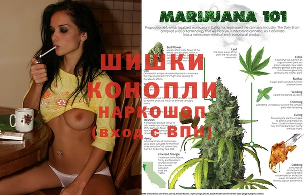 spice Баксан