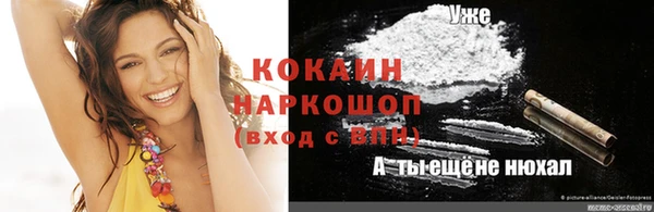 spice Аркадак