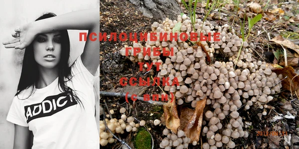 соль ск Балабаново