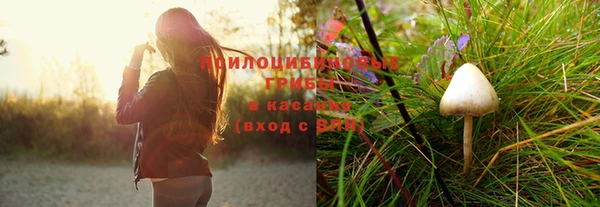 а пвп мука Арсеньев