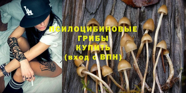 spice Баксан