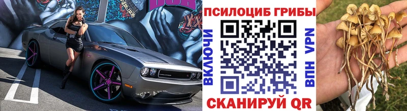 Псилоцибиновые грибы ЛСД  KRAKEN ссылка  Узловая 